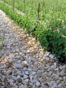 Montcalmès 3