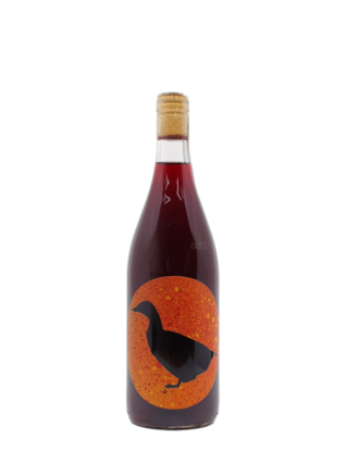 Pato Portugal Nerd Duck Tinto Pato Portugal Nerd Duck Tinto