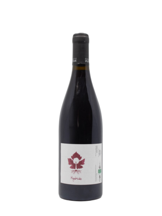 Domaine de la Futaie AOC Jasnières Rouge